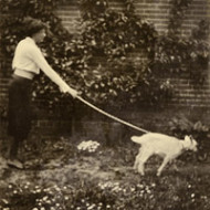 ©STW Estate